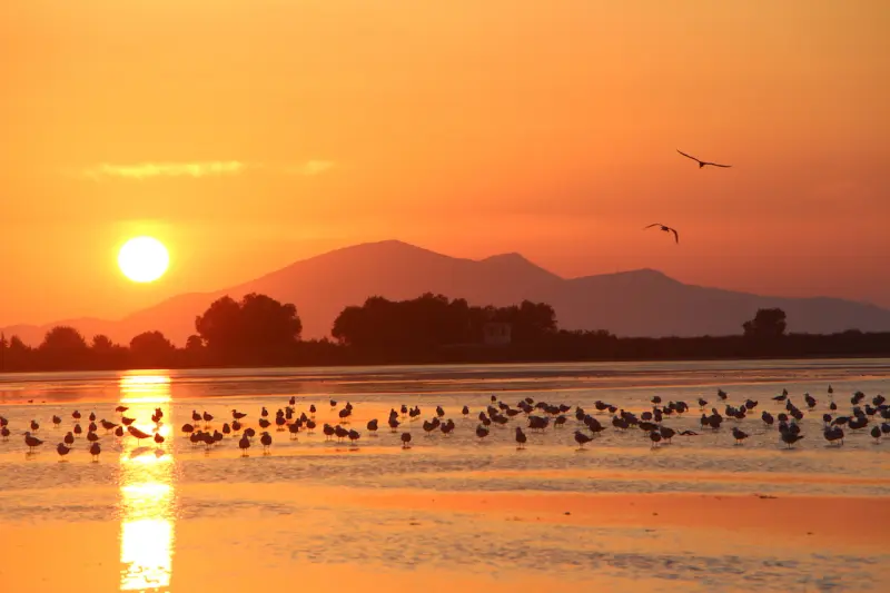 Tigaki, Kos: A Complete & Honest Travel Guide to Beaches, Food, Tips & Local Life