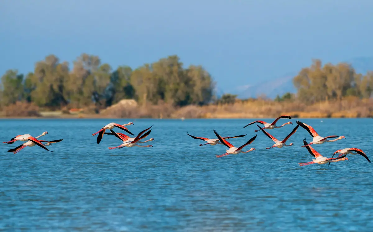 Sustainable Travel Guide to Kos - Gallery Image 1