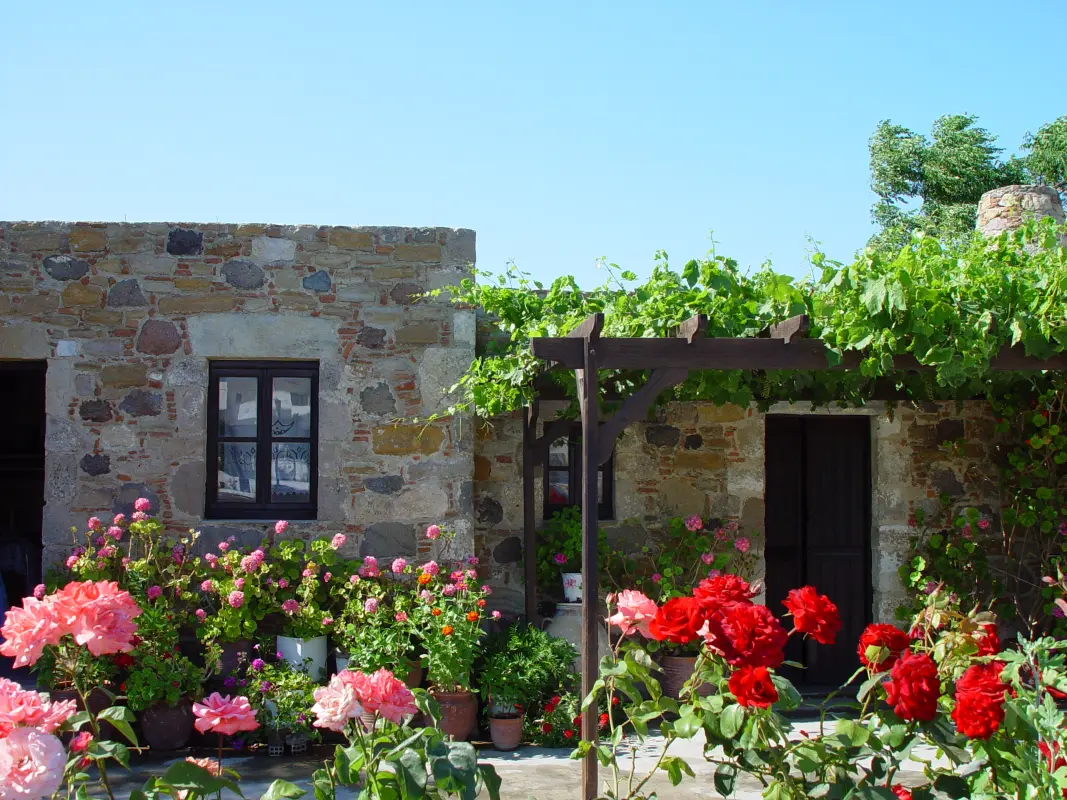 Antimachia, Kos: Castle Views, Village Life & the Most Authentic Side of the Island - Gallery Image 2