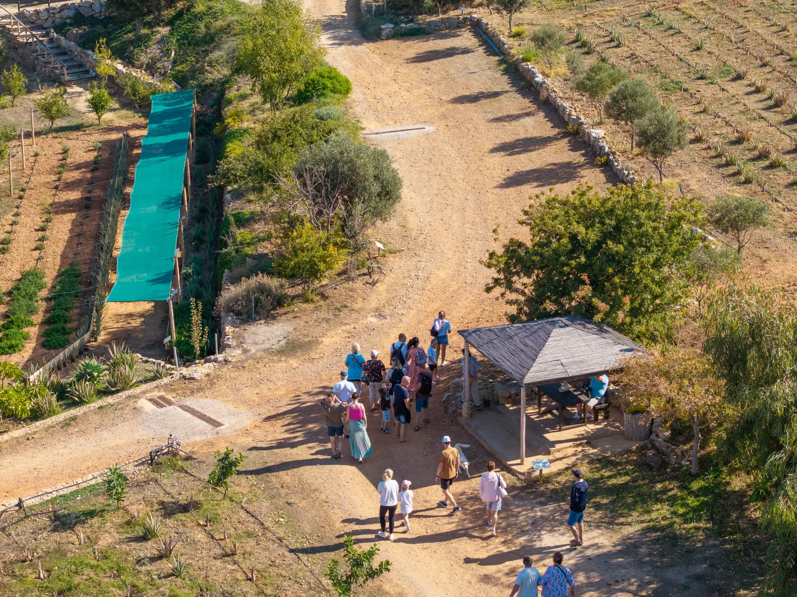 Gallery image for Aloe & Herbs Experience