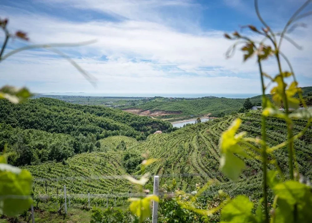 Gallery image for Wine Tasting Tour at Duka Winery