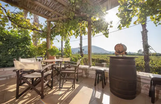 Gallery image for Kos Wine Tasting