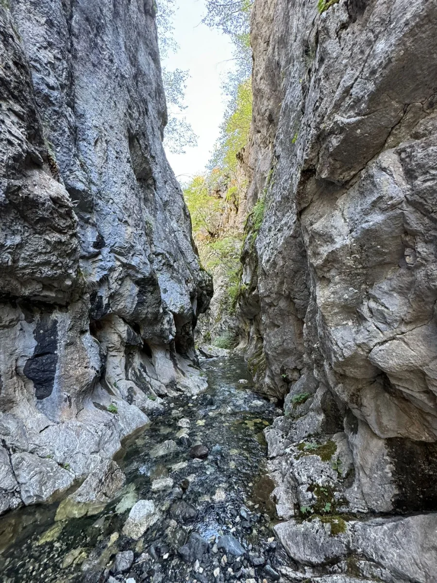 Gallery image for Udha e Shkronjave