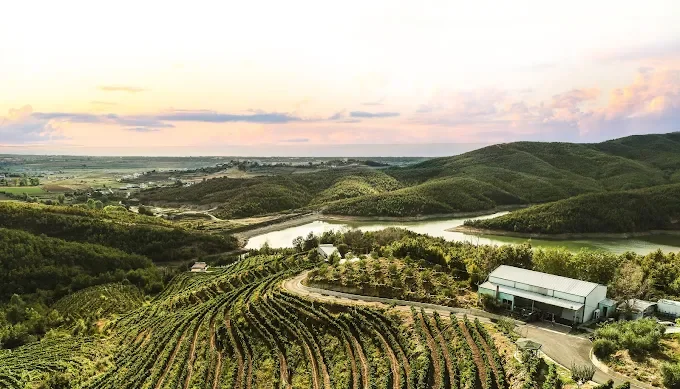 Gallery image for Wine Tasting Tour at Duka Winery