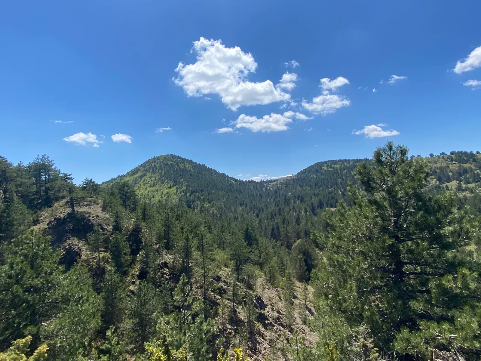 Gallery image for Udha e Shkronjave