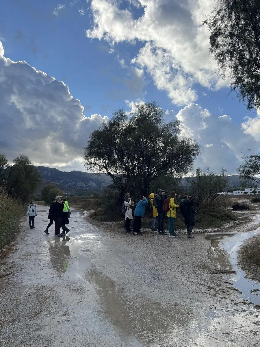 Gallery image for Kos Fauna Exploration Walk (Express)