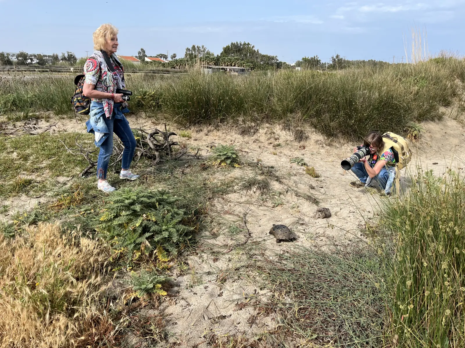 Gallery image for Kos Fauna Exploration Walk (Express)