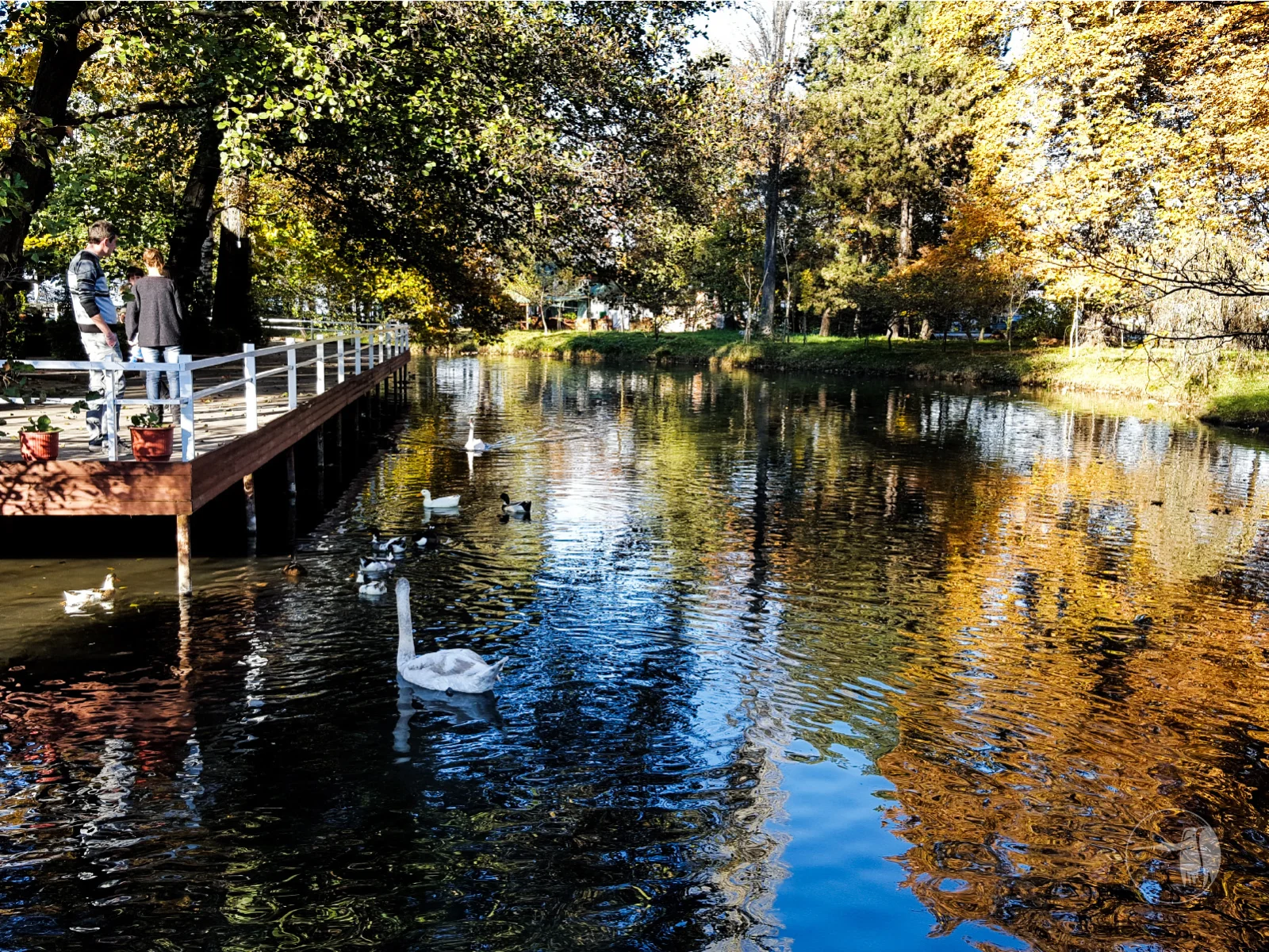 Gallery image for Ohrid Daily Excursion