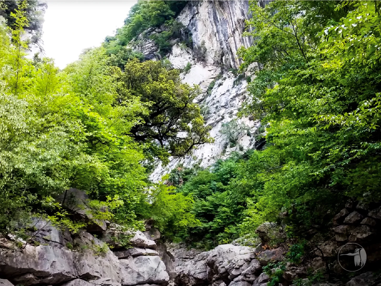 Gallery image for Pëllumbas Daily Excursion