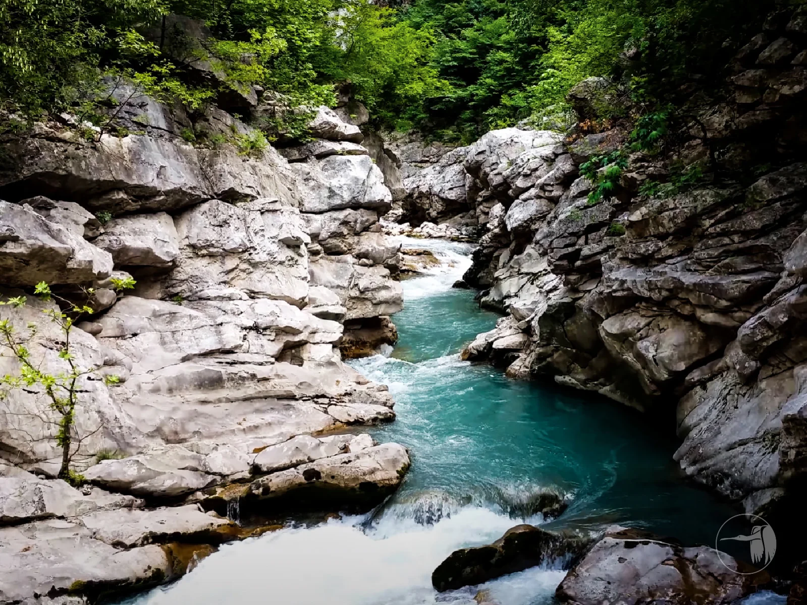 Gallery image for Pëllumbas Daily Excursion