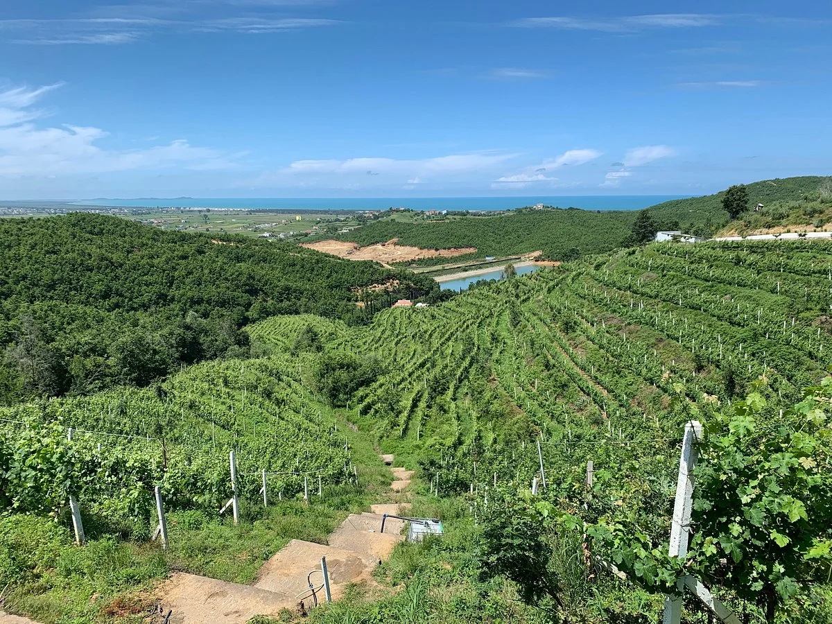 Gallery image for Wine Tasting Tour at Duka Winery