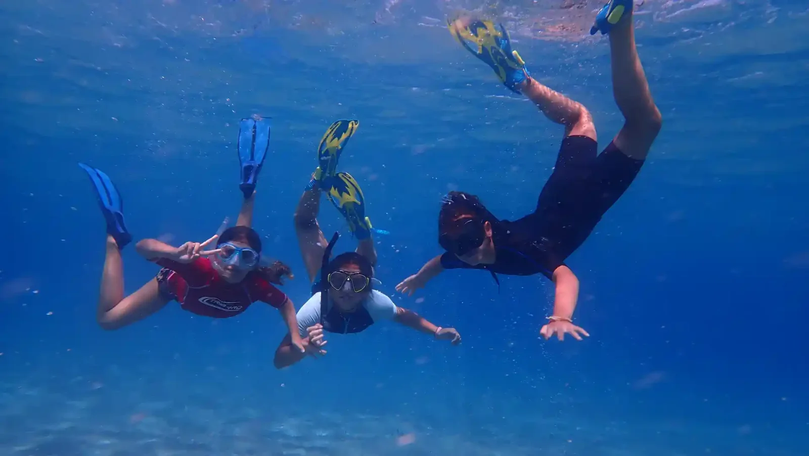 Gallery image for Private Snorkeling Boat Trips