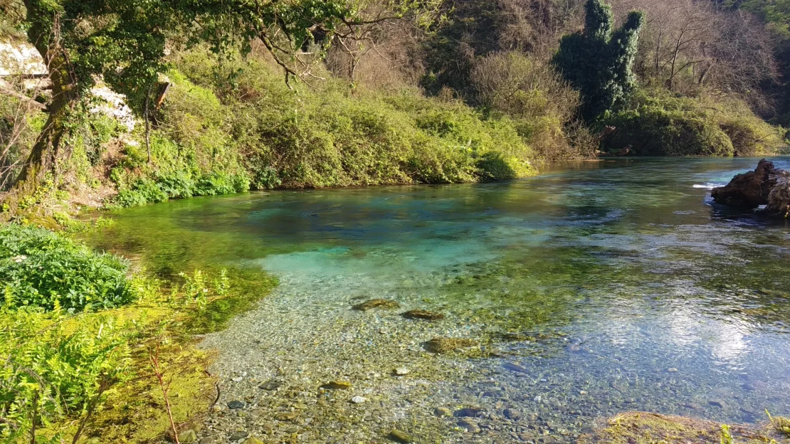 Gallery image for Blue Eye Spring & Lekursi Castle