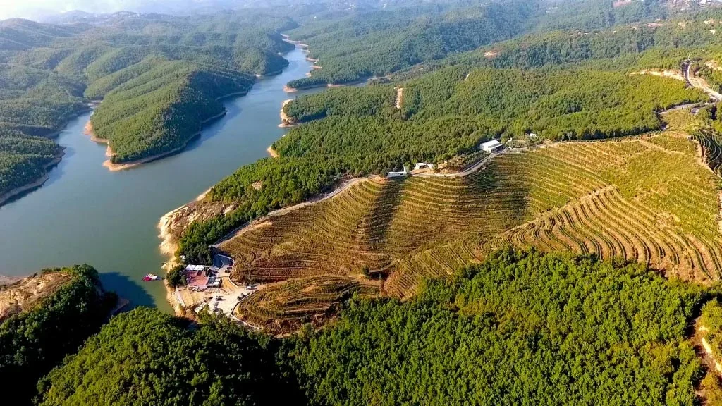 Gallery image for Wine Tasting Tour at Duka Winery