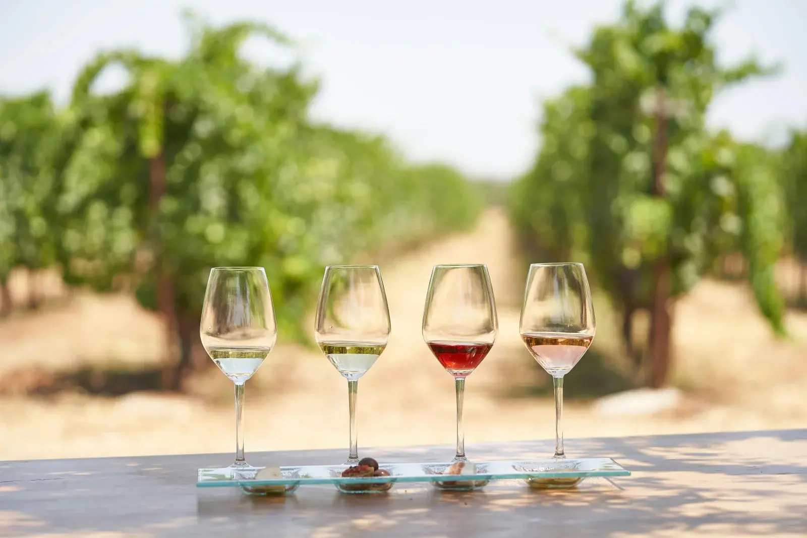 Gallery image for Kos Wine Tasting